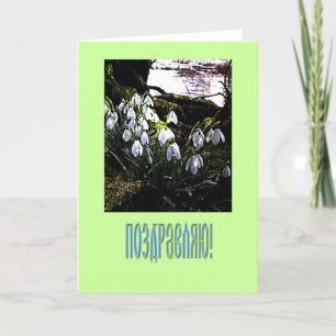Russian Congratulations Card with snowdrops