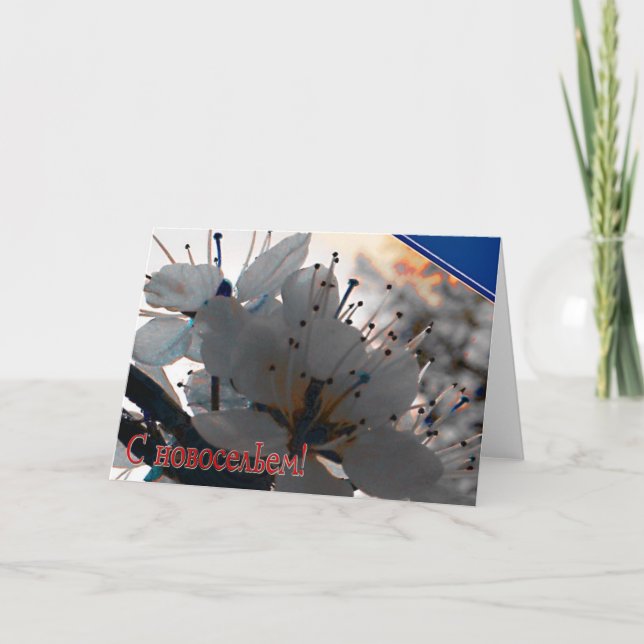 Russian Housewarming card with Cherry Flowers (Front)