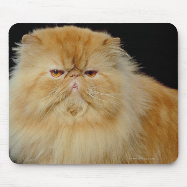 Russian Long Hair Cat Mouse Mat (Front)