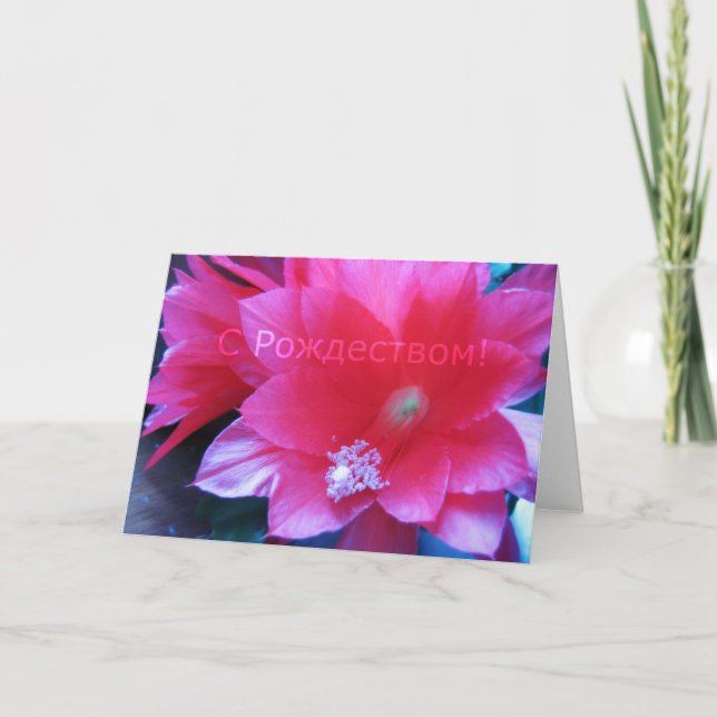 Russian Merry Christmas Card, Christmas Cactus Holiday Card (Front)