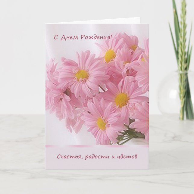 Russian pink Daisy Birthday Card (Front)
