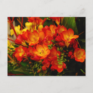 Russian Romance Postcard