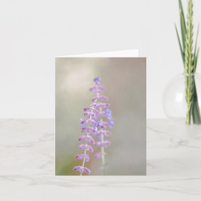 Russian Sage Blank Notecard (Front)