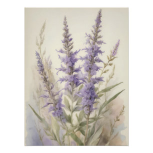 Russian Sage Poster