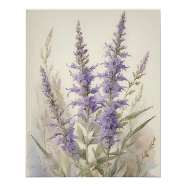 Russian Sage Poster (Front)