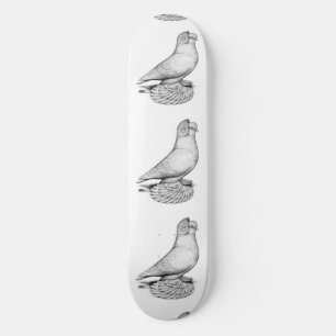 Russian Tumbler Pigeon Skateboard