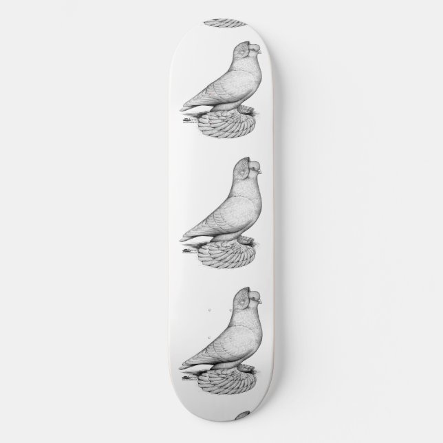 Russian Tumbler Pigeon Skateboard (Front)