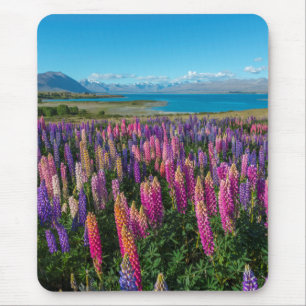 Russle Lupines at Lake Tekapo   New Zealand Mouse Mat