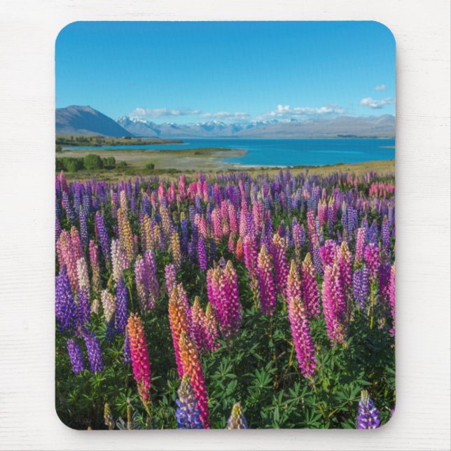 Russle Lupines at Lake Tekapo | New Zealand Mouse Mat (Front)