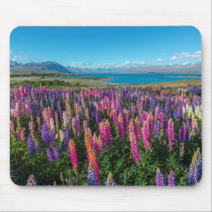 Russle Lupines at Lake Tekapo New Zealand Mouse Mat