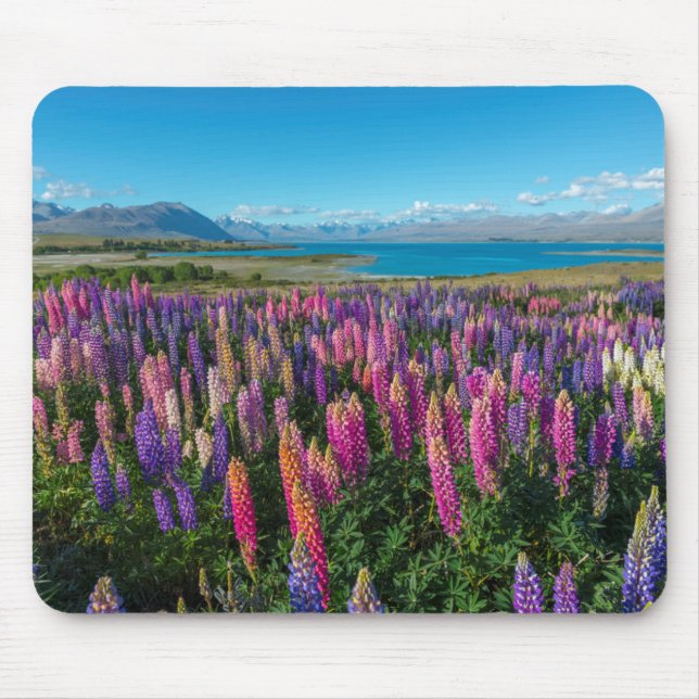 Russle Lupines at Lake Tekapo | New Zealand Mouse Mat (Front)