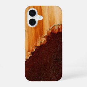 Rust Art Cool Fun Unique Photograph iPhone 16 Case