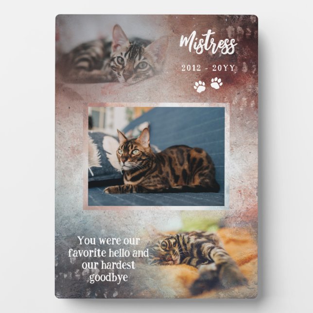 Rust & Navy Paws Favourite Hello Cat Photo Memoria Plaque (Front)