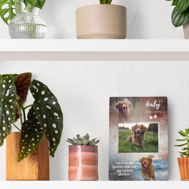 Rust & Navy Paws Favourite Hello Dog Memorial Plaque (Creator Uploaded)