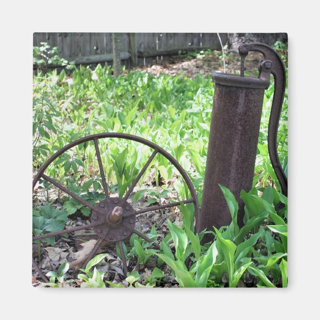 Rusted Things Flower Garden Nature Magnet (Front)