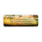 rustic address label with string lights