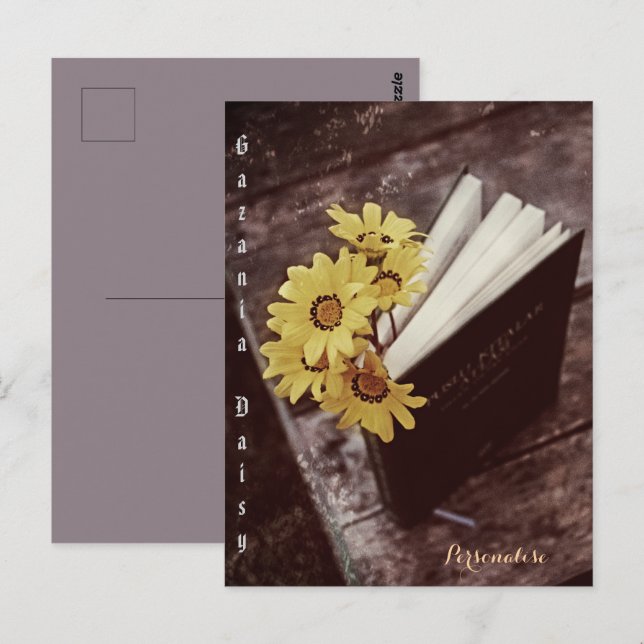Rustic African Yellow Daisy Flower Bookmark Floral Postcard (Front/Back)