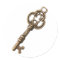 Rustic Antique Vintage Key