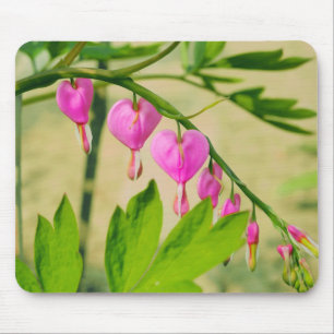 Rustic Asian Bleeding Heart Lamprocapnos Flower Mouse Mat