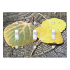 Rustic Aspen Leaves in Autumn Colours  Photograph