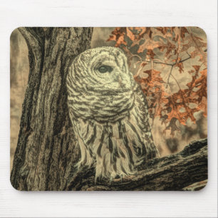 rustic autumn leaves oak tree white owl mouse mat