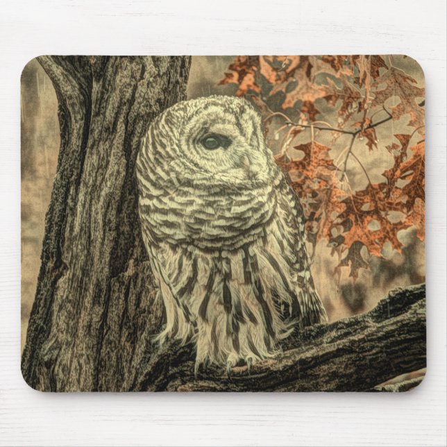 rustic autumn leaves oak tree white owl mouse mat (Front)