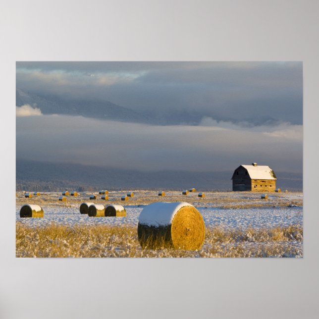 Rustic barn and hay bales after a fresh snow 3 poster (Front)