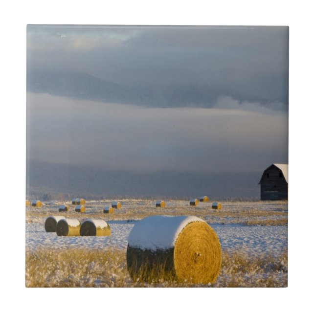Rustic barn and hay bales after a fresh snow 3 tile (Front)