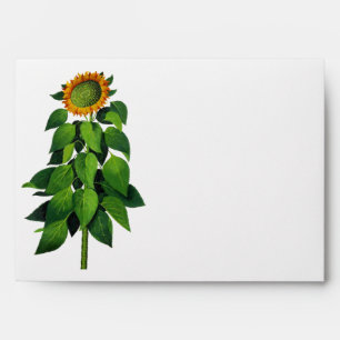 Rustic Barn Country Sunflower Wedding Envelope