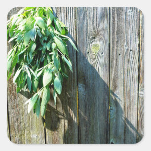 Rustic barn wood herbs greenery  square sticker