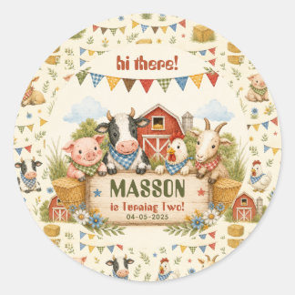 Rustic Barnyard 2nd Birthday kids Party Classic Round Sticker