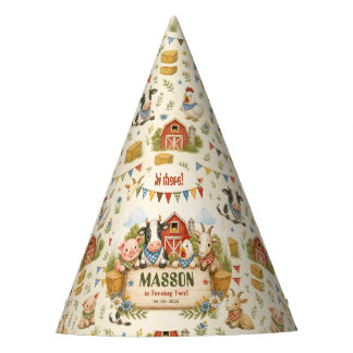 Rustic Barnyard 2nd Birthday kids Party Hat
