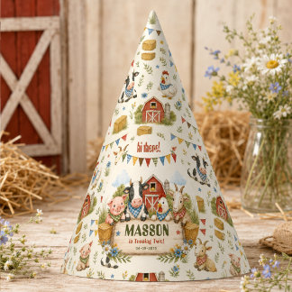 Rustic Barnyard 2nd Birthday kids Party Hat