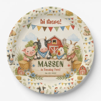 Rustic Barnyard 2nd Birthday kids Party Paper Plate