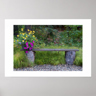 Rustic Bench And Flower Bucket Photograph Poster