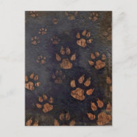 Rustic Black Paw Pattern