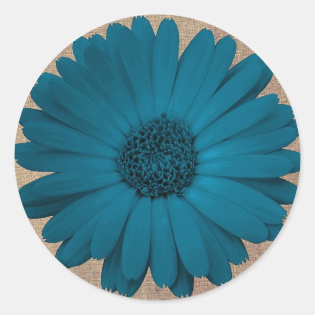 Rustic Blue Gerber Daisy Round Stickers Seals (Front)