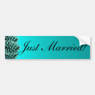 Rustic blue pine cone just married bumpersticker bumper sticker