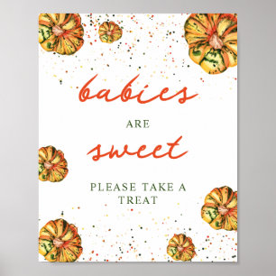 Rustic Boho Pumpkin Babies are Sweet Poster