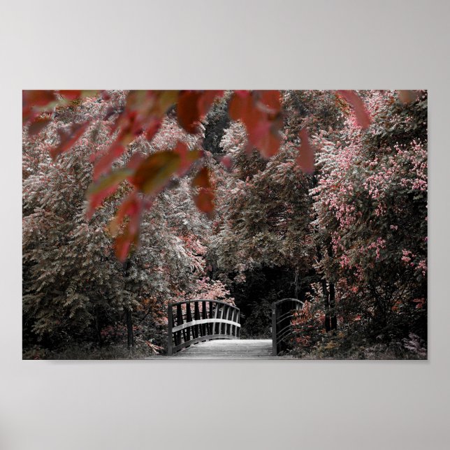 Rustic Bridge With Beautiful Trees Landscape Photo Poster (Front)