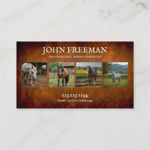 Rustic Brown and White Horses Photos Equine Business Card