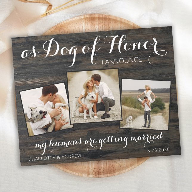 Rustic Budget Dog Photo Wedding Save The Date   (Creator Uploaded)
