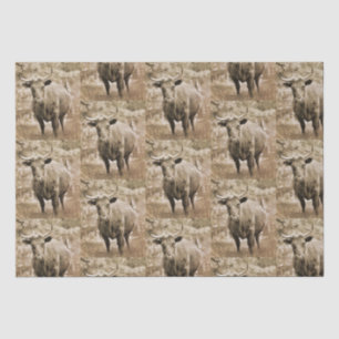 Rustic Bull on Farm  Pattern Decoupage Tissue Paper