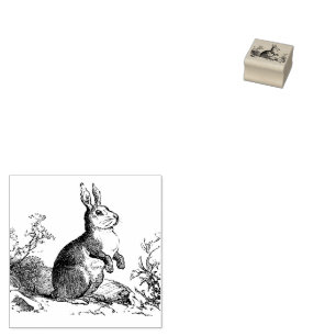 Rustic Bunny Rabbit Vintage Rubber Stamp