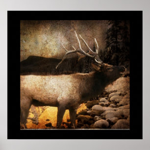 Rustic cabin cottage forest mountain bull elk poster