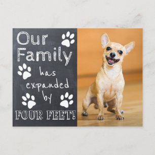 Rustic Chalkboard New Pet Announcement with Paws  