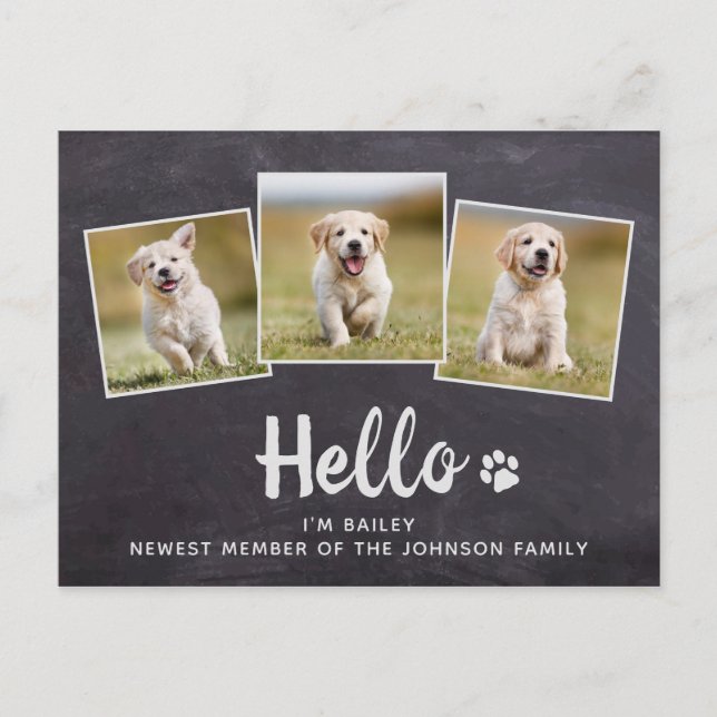 Rustic Chalkboard New Pet Photo Hello Puppy Dog Announcement Postcard (Front)