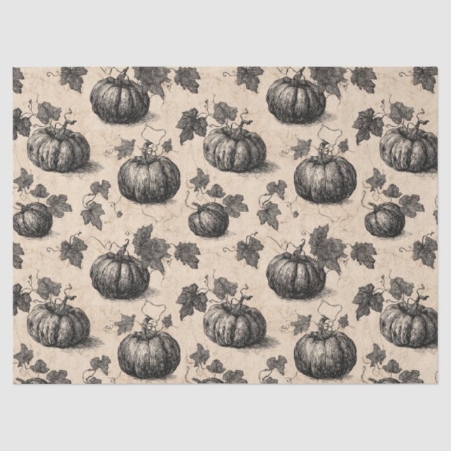 Rustic Charcoal Pumpkin and Vine Fall Tissue Paper (Front)