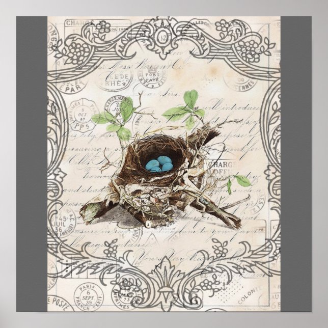 rustic chic french country botanical bird nest poster (Front)