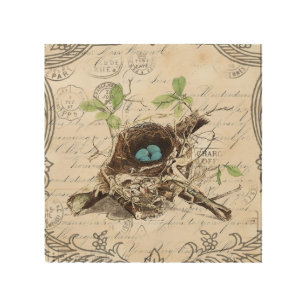 rustic chic french country botanical bird nest wood wall art